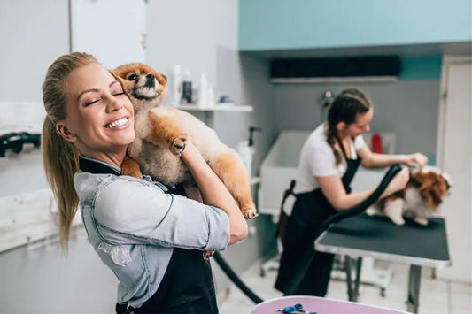 A Day of Care: Bathing, Healing, and Second Chances