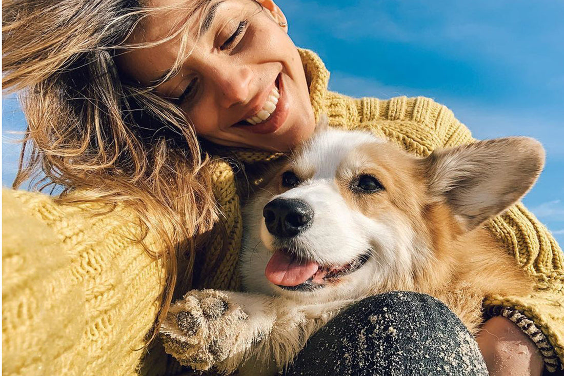 Paws & Wisdom: Lessons Dogs Teach Us About Life
